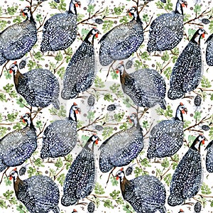 Guinea fowl. wild bird watercolor seamless pattern.