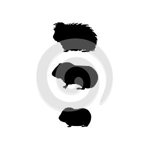 Guinea pig family. Silhouettes of pet animals