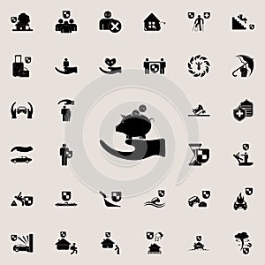 guinea pig in handicon. insurance icons universal set for web and mobile