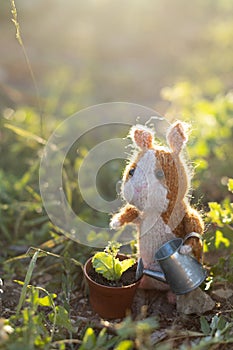 Guinea pig knitted toy