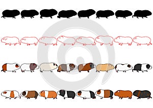 Guinea pigs in a row set