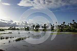 Guinea West Africa Boke province Kamsar area close to Taressa photo