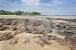 Guinea West Africa Boke province Kamsar, beach