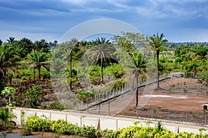 Guinea West Africa Boke province Kamsar COBAD campus last island of humans
