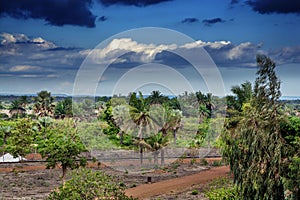 Guinea West Africa Boke province Kamsar COBAD campus last island of humans