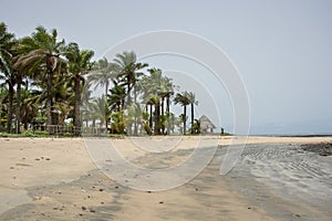 Guinea West Africa Boke province wild beach Bel Air