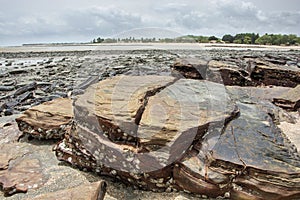 Guinea West Africa Boke province wild beach Bel Air