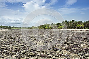 Guinea West Africa Boke province wild beach Bel Air photo