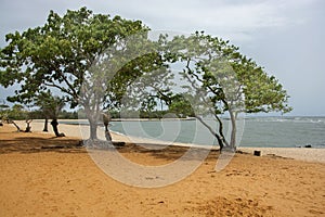 Guinea West Africa Boke province wild beach Bel Air photo