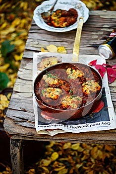 Guiness beef stew with cheddar herb dumplings.. style vintage photo