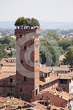 Guinigi tower Lucca photo
