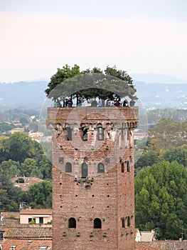 Guinigi tower in Lucca photo