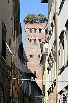 Guinigi tower, Lucca