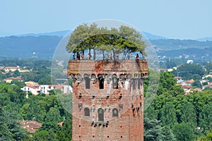 Guinigi Tower