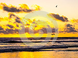 Guiones Beach, Guanacaste, Costa Rica photo