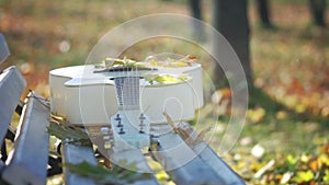 Guitar in Autumn Park