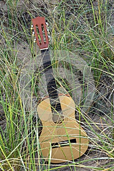 Guitar in beach grass