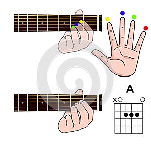 Guitar Chord Basic and Hand Position for Guitar Chord vector. Freestyle Chord.