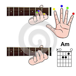 Guitar Chord Basic and Hand Position for Guitar Chord vector. Freestyle Chord.