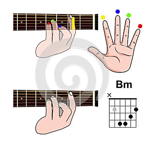 Guitar Chord Basic and Hand Position for Guitar Chord vector. Freestyle Chord.