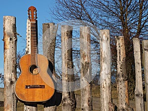 Guitar on the fence