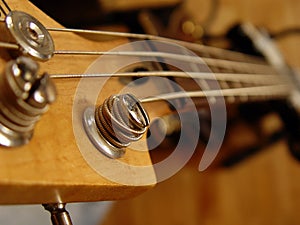 Guitar fingerboard photo