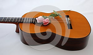 Guitar and Flowers
