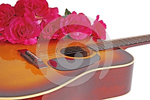 Guitar and Flowers photo