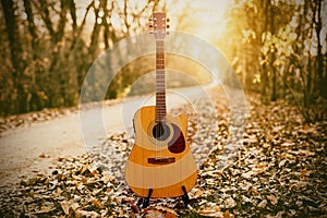 Guitar in the foreground. Autumn park in the background