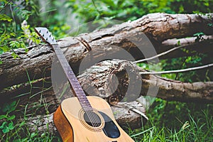 Guitar in the forest Take a guitar to the forest.