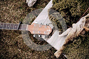 Guitar fretboard and headstock on green grass in nature.