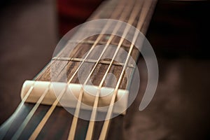 Guitar frets and strings