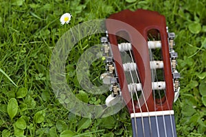 Guitar on the grass.