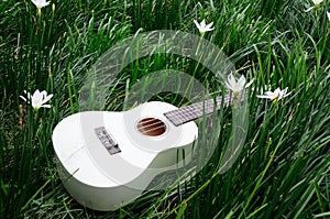 Guitar on grass