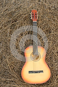 Guitar on the hay