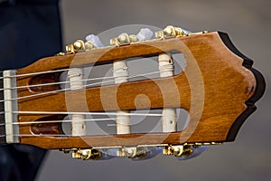 Guitar head with strings