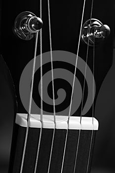 Guitar head with tuning pegs, six strings and nut close-up