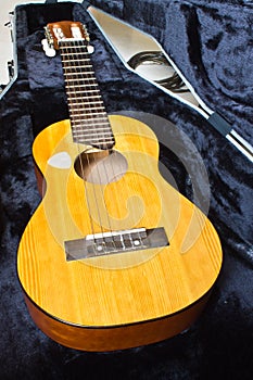 Guitar lele