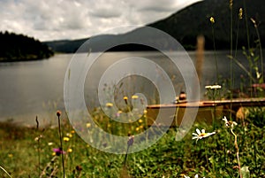 Guitar lying in the grass by a mountain lake