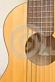 Guitar
