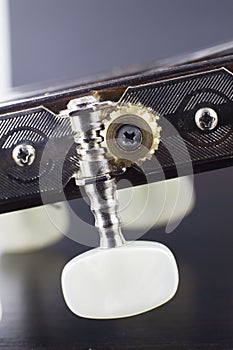 Guitar peg closeup