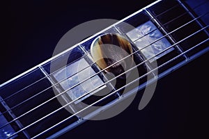 Guitar Pick on Fret-board