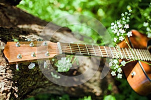 Guitar on picnic in park