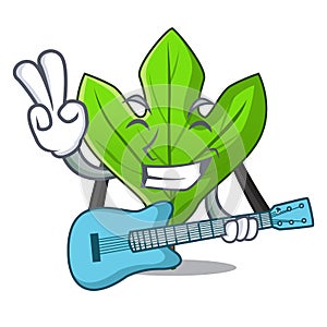 With guitar sassafras leaf in the mascot pots