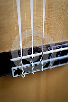 guitar strings closeu