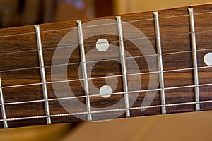 Guitar Strings on a Fretboard