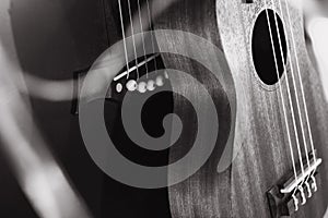 guitar and ukulele sale, black and white photo