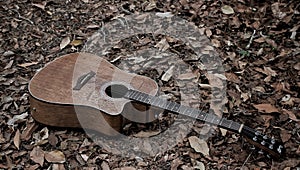 guitar that was wasted in the woods