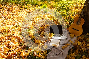 guitar on yellow leaves and laptop