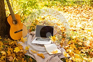 guitar on yellow leaves and laptop